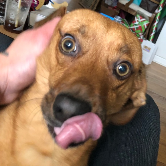 Meet your Posher, Zach - Picture 1 of 1